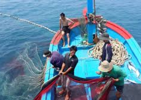 Lưới Đánh Cá – Giải Pháp Khai Thác Thủy Sản Hiệu Quả Và Bền Vững