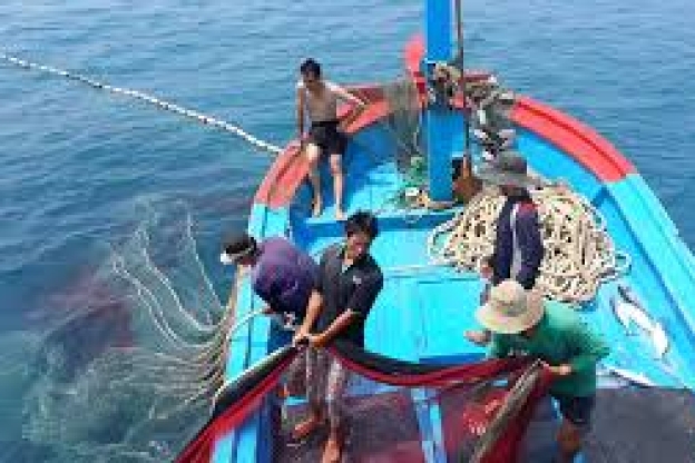 Lưới Đánh Cá – Giải Pháp Khai Thác Thủy Sản Hiệu Quả Và Bền Vững
