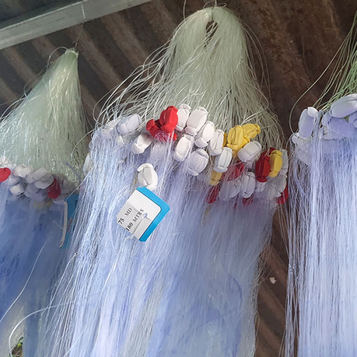 Lưới giăng cá lòng tong