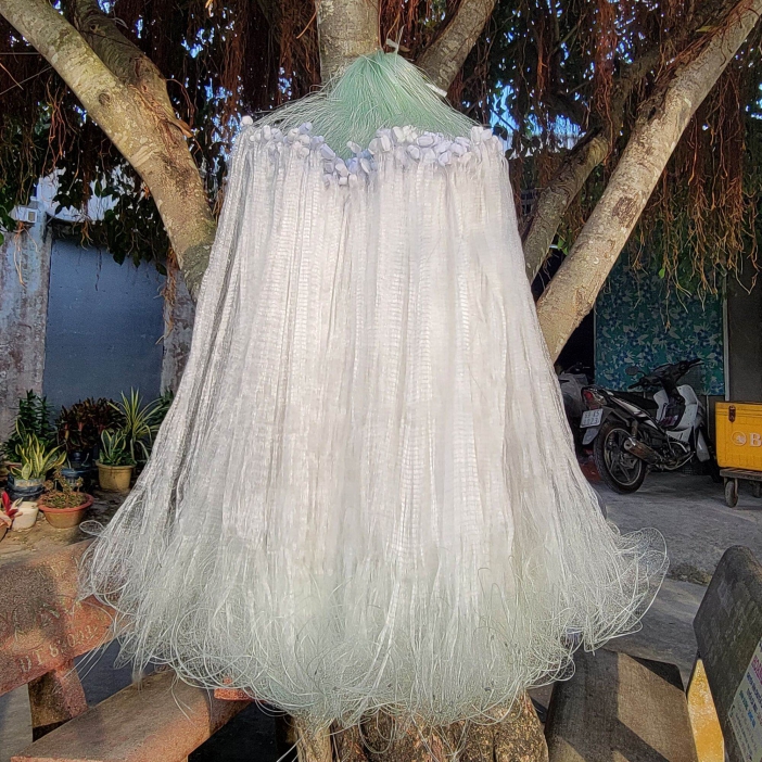 Lưới giăng cá lòng tong