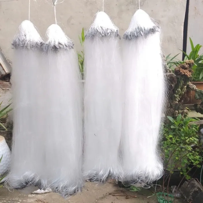 Lưới giăng cá lòng tong