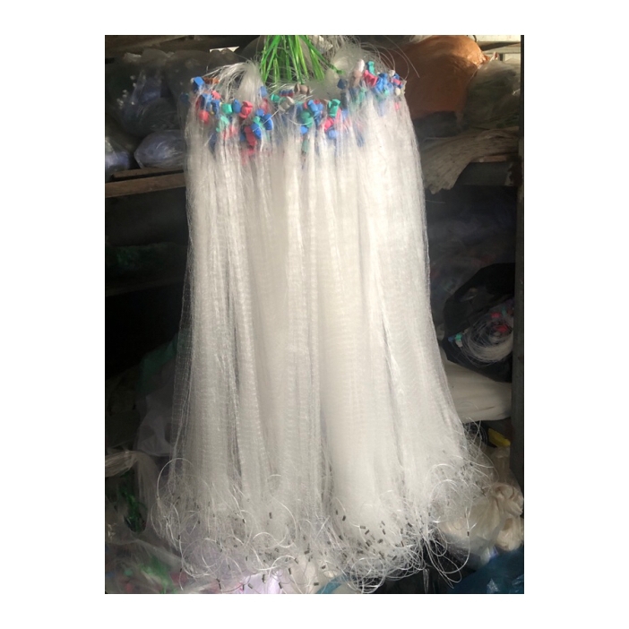 Lưới giăng cá lòng tong